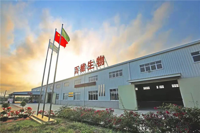 166133042313926813693.jpg 12.jpg