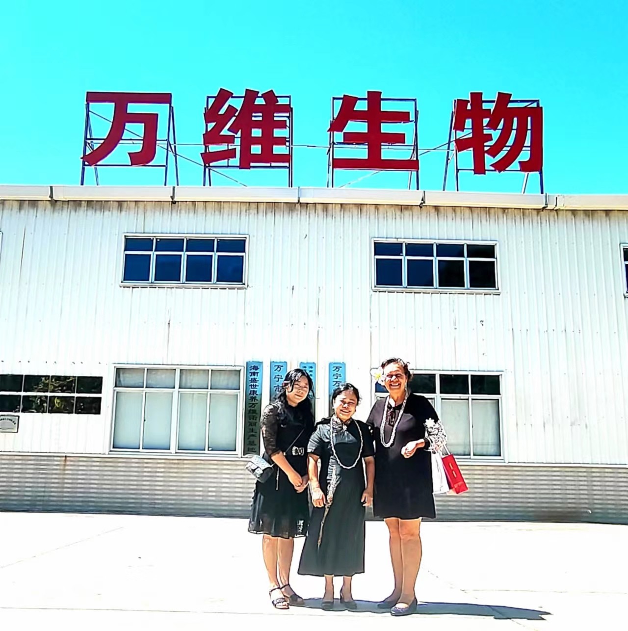 169534553781834678804.jpg 169534553781834678804.jpg